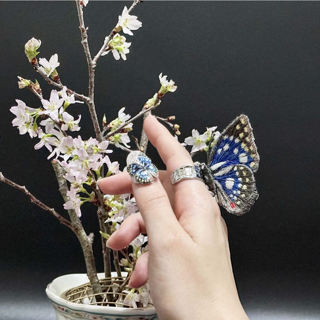 オオムラサキ蝶と桜