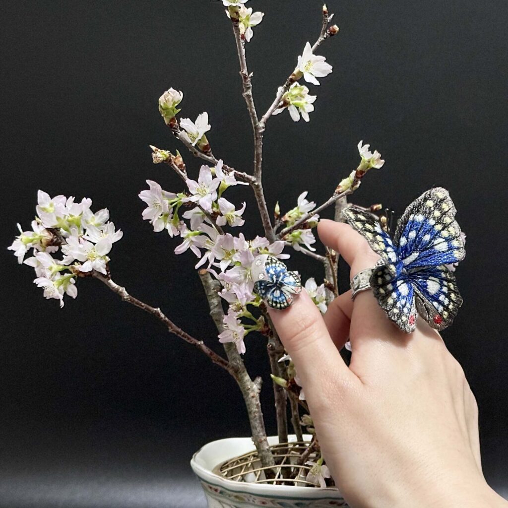 オオムラサキ蝶と桜２